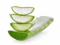 aloevera