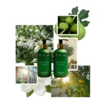 Smooth Jazz Hand & Body Wash 250 ML - Image 2