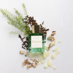 Calliope Extrait De Parfum 50ML - Image 3